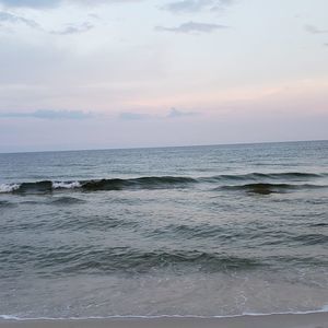 Meet your Posher, Gene